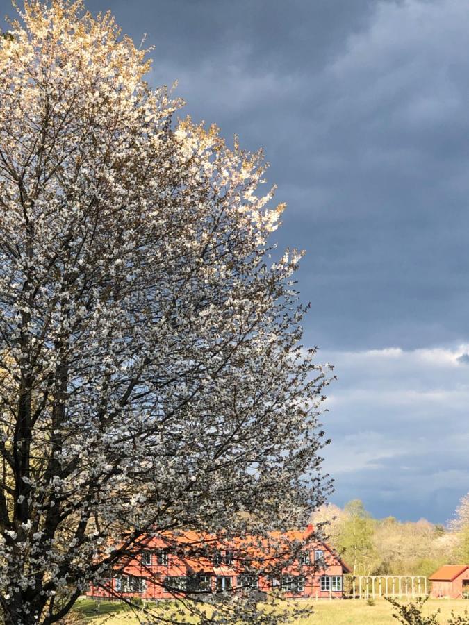Villa Hasselbacken Garsnas Экстерьер фото